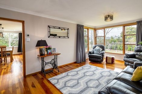 Photo of property in 20 Victoria Street, Pahiatua, 4910