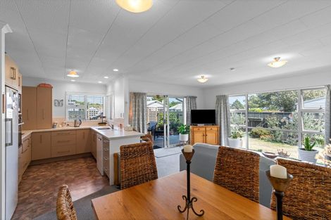 Photo of property in 1/20 Stuckey Street, Levin, 5510