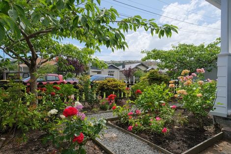 Photo of property in 21 West Avenue, Saint Clair, Dunedin, 9012