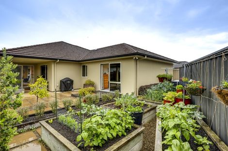 Photo of property in 19 Kapiti Drive, Poraiti, Napier, 4112