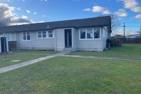 Photo of property in 88 Sherwill Street, Feilding, 4702
