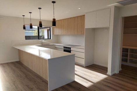 Photo of property in 17 Quarters Place, Halswell, Christchurch, 8025