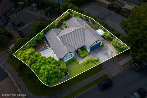 Photo of property in 3 Red Shed Lane, Albany, Auckland, 0632