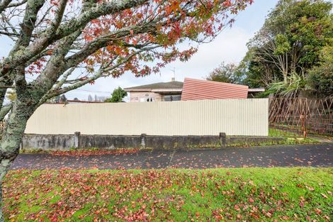 Photo of property in 17 Hinau Street, Maeroa, Hamilton, 3200