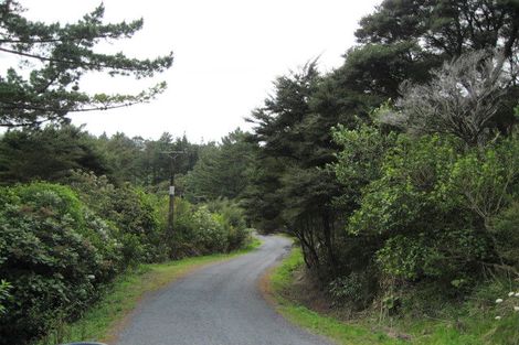 Photo of property in 29 Te Henga Road, Waitakere, Auckland, 0781