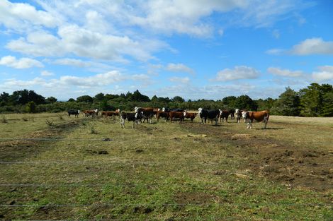 Photo of property in 741 Wiroa Road, Okaihau, 0475