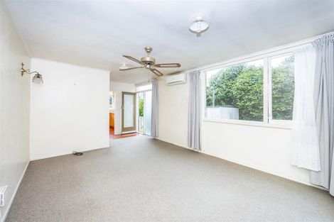 Photo of property in 8a Te Aroha Street, Hamilton East, Hamilton, 3216