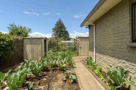 Photo of property in 392 Maungatapu Road, Maungatapu, Tauranga, 3112