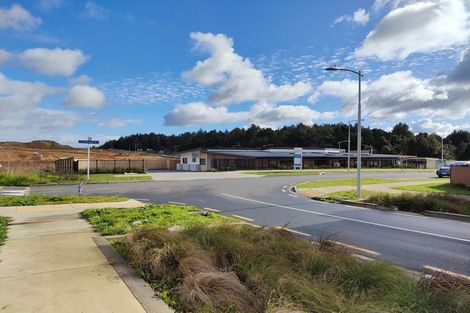 Photo of property in 21 Treeline Lane, Flat Bush, Auckland, 2019