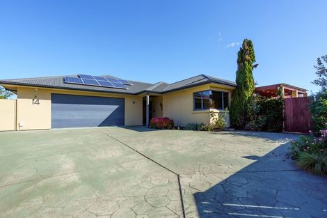 Photo of property in 14 Olive Grove, Havelock North, 4130