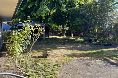 Photo of property in 14 Commodore Avenue, Flagstaff, Hamilton, 3210