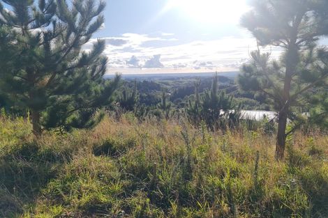 Photo of property in 539 Pahiatua Aokautere Road, Aokautere, 4471