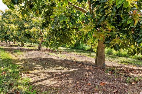 Photo of property in 71c Laurel Drive, Whakamarama, Tauranga, 3179