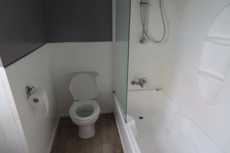 Photo of property in 81 Rimu Street, Maeroa, Hamilton, 3200