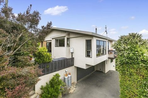 Photo of property in 40 Shandon Road, Vauxhall, Dunedin, 9013