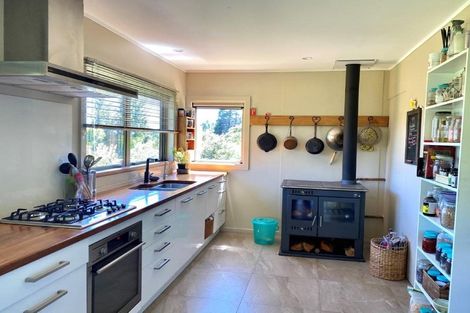 Photo of property in 103 Parapara Valley Road, Parapara, Takaka, 7182