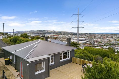 Photo of property in 39 Forfar Street, Clyde Hill, Dunedin, 9011