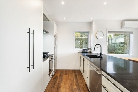 Photo of property in 48a Old Mill Road, Grey Lynn, Auckland, 1021