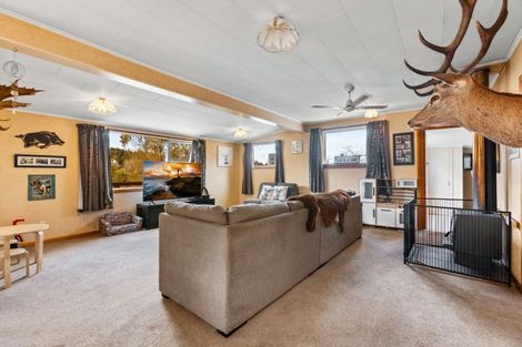 Photo of property in 9 Strode Avenue, Naseby, 9396