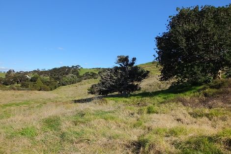 Photo of property in 239 Rangiora Road, Kaiwaka, 0573