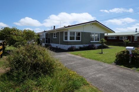 Photo of property in 55 Wellington Street, Pukekohe, 2120