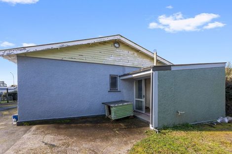 Photo of property in 105 Brecon Road, Stratford, 4332