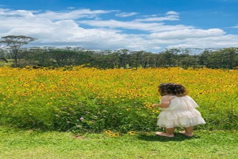 Photo of property in 185 Valencia Lane, Kerikeri, 0293