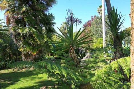 Photo of property in 22 Rimu Road, Oratia, Auckland, 0604