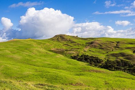 Photo of property in 164 Beatson Road, Whakapirau, 0583