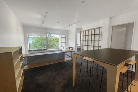 Photo of property in Revolucion Apartments, 203n/28 Torrens Terrace, Mount Cook, Wellington, 6011