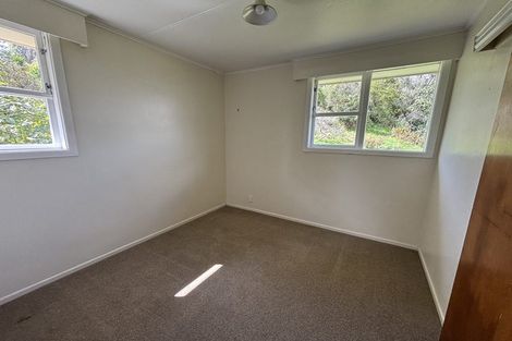 Photo of property in 9 Lewis Street, Paeroa, 3600