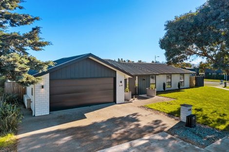 Photo of property in 238 Taylor Pass Road, Witherlea, Blenheim, 7201