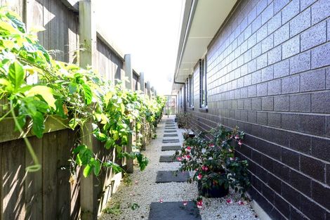 Photo of property in 26c Macfarlane Street, Hamilton East, Hamilton, 3216