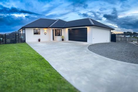 Photo of property in 21 George Street, Bulls, 4818