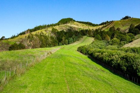 Photo of property in 704 Whangaripo Valley Road, Whangaripo, Wellsford, 0972