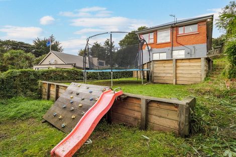 Photo of property in 51 Sidey Street, Calton Hill, Dunedin, 9012