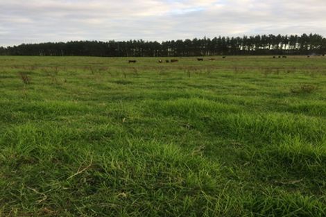 Photo of property in 32 Parore Road West, Parore, Dargaville, 0372