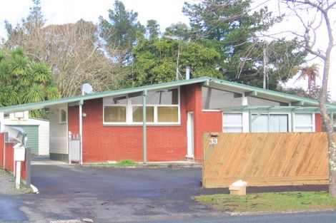 Photo of property in 33 Fitzroy Avenue, Fitzroy, Hamilton, 3206