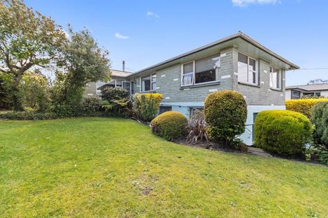 Photo of property in 31 Puriri Street, Highfield, Timaru, 7910