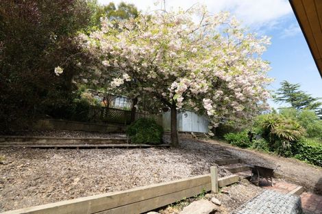 Photo of property in 96 Hocken Street, Kenmure, Dunedin, 9011
