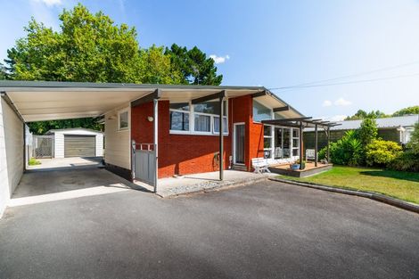 Photo of property in 33 Fitzroy Avenue, Fitzroy, Hamilton, 3206