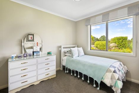 Photo of property in 165 Buckland Road, Matamata, 3472