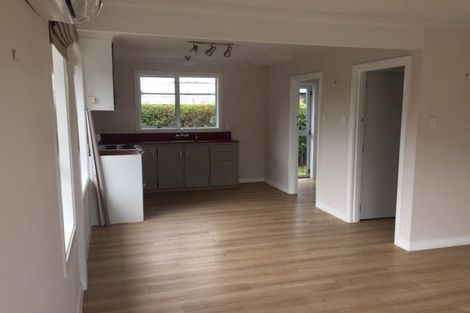 Photo of property in 93 Ventry Street, Alexandra, 9320