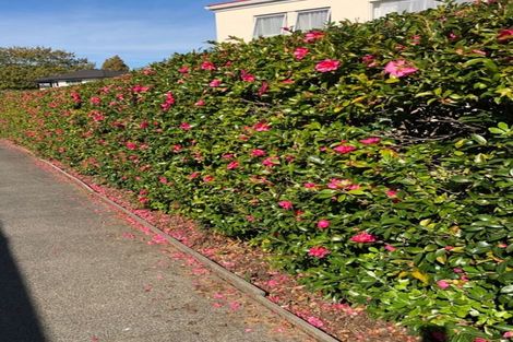 Photo of property in 7a May Street, Hamilton East, Hamilton, 3216