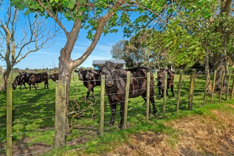 Photo of property in 47 Cameron Road, Makauri, Gisborne, 4071