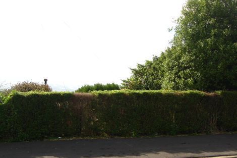 Photo of property in 17 Wray Street, Brockville, Dunedin, 9011