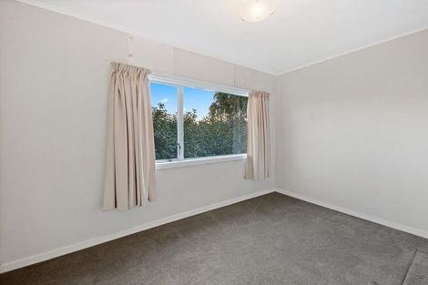 Photo of property in 164 Morrison Road, Pukekawa, Tuakau, 2696