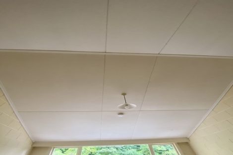 Photo of property in 1/63 Serpentine Avenue, Dunedin Central, Dunedin, 9016