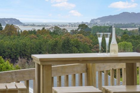 Photo of property in 709 Tairua Sh25 Road, Onemana, Whangamata, 3691