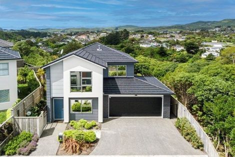 Photo of property in 162a John Burke Drive, Aotea, Porirua, 5024